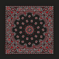 Domestic Black & Red Paisley Bandanna